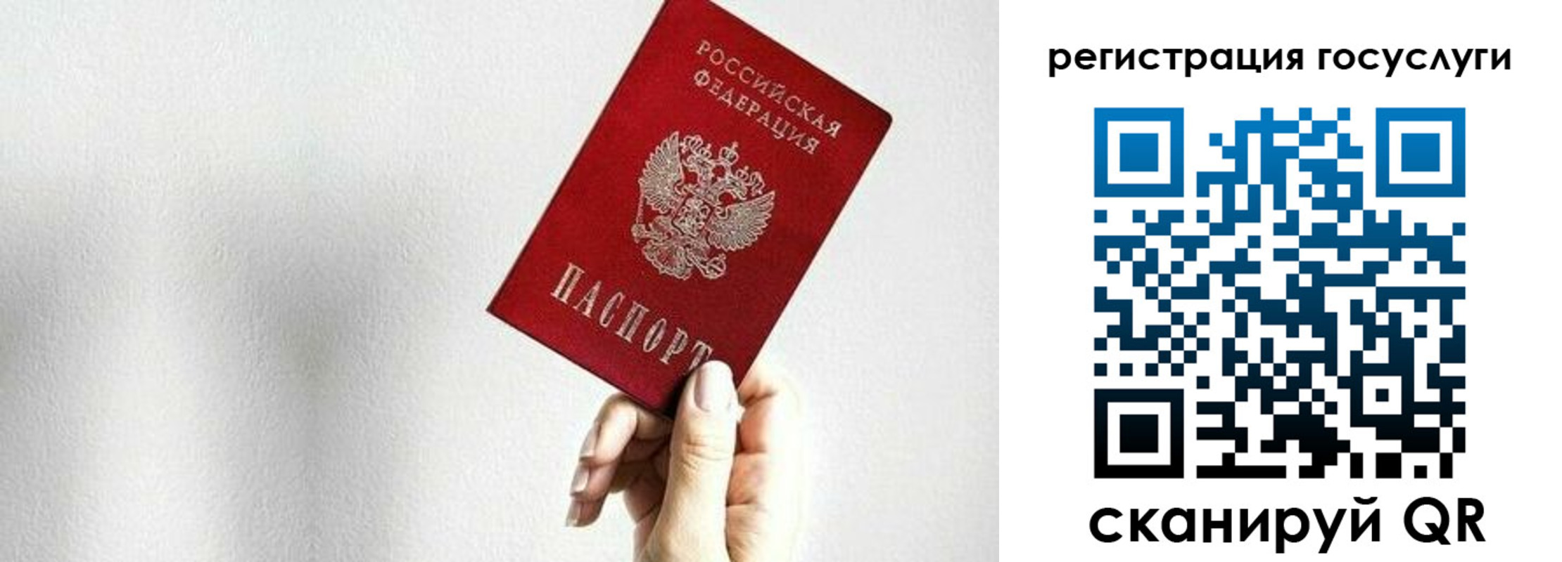 временная регистрация гарантия в Калининградской области